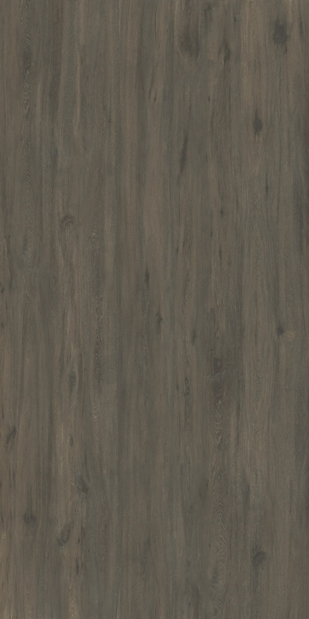 Ascale Boreal Umber — detail