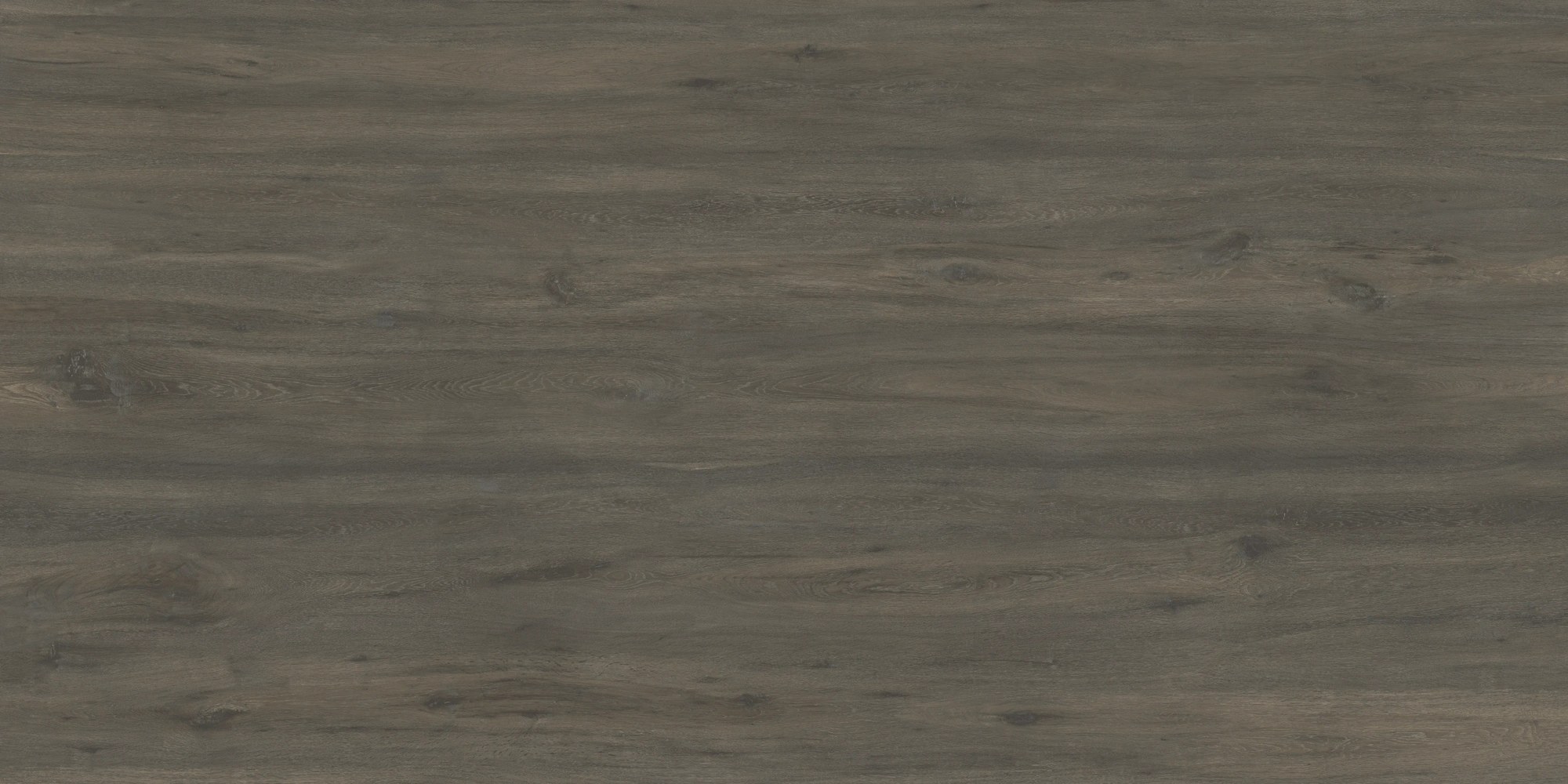 Ascale Boreal Umber — slab