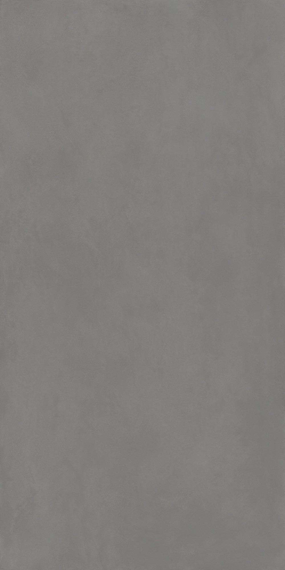 Ascale Cosmopolita Gray — λεπτομέρεια