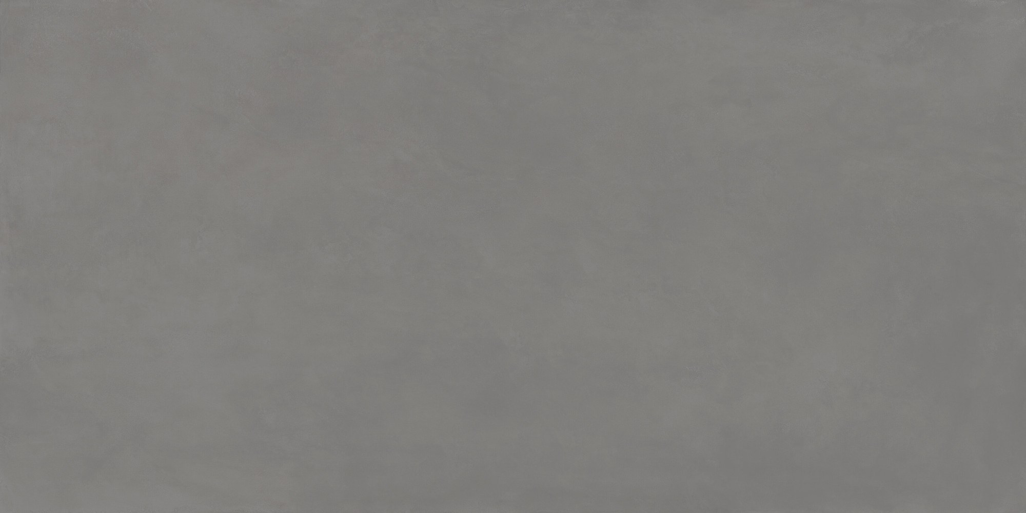 Ascale Cosmopolita Gray — πλάκα