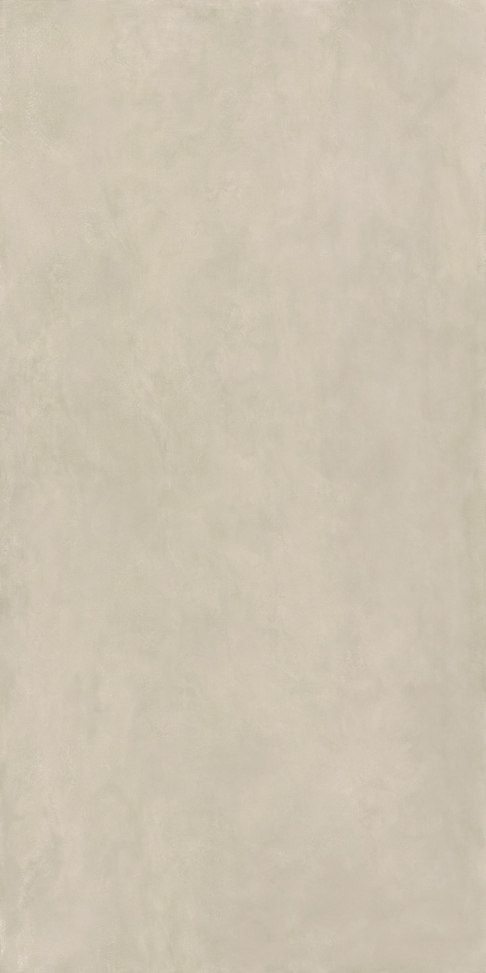 Ascale Cosmopolita Ivory — λεπτομέρεια