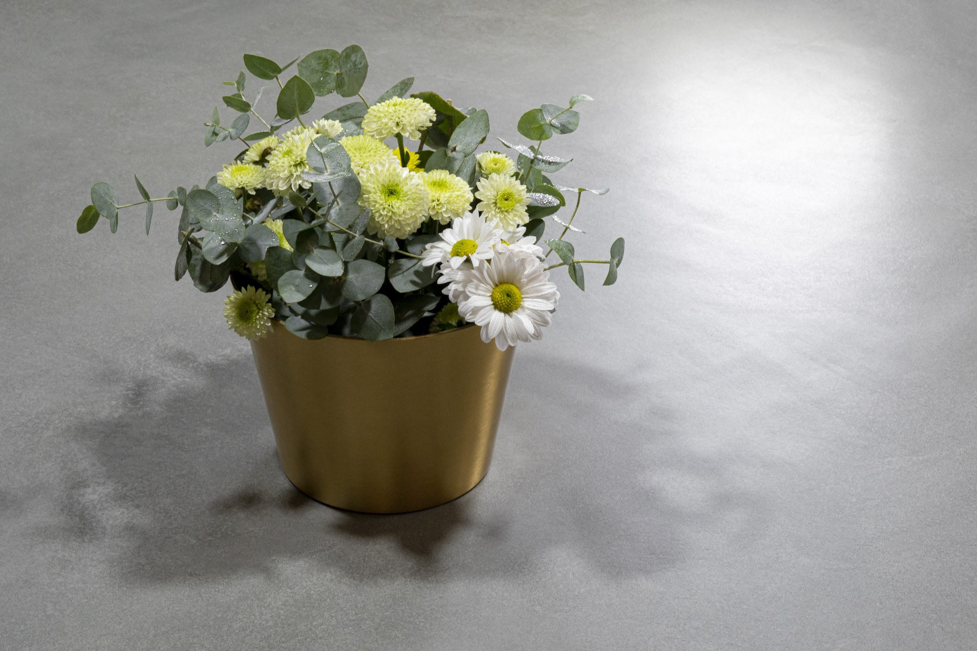 Ascale Cosmopolita Silver — λεπτομέρεια