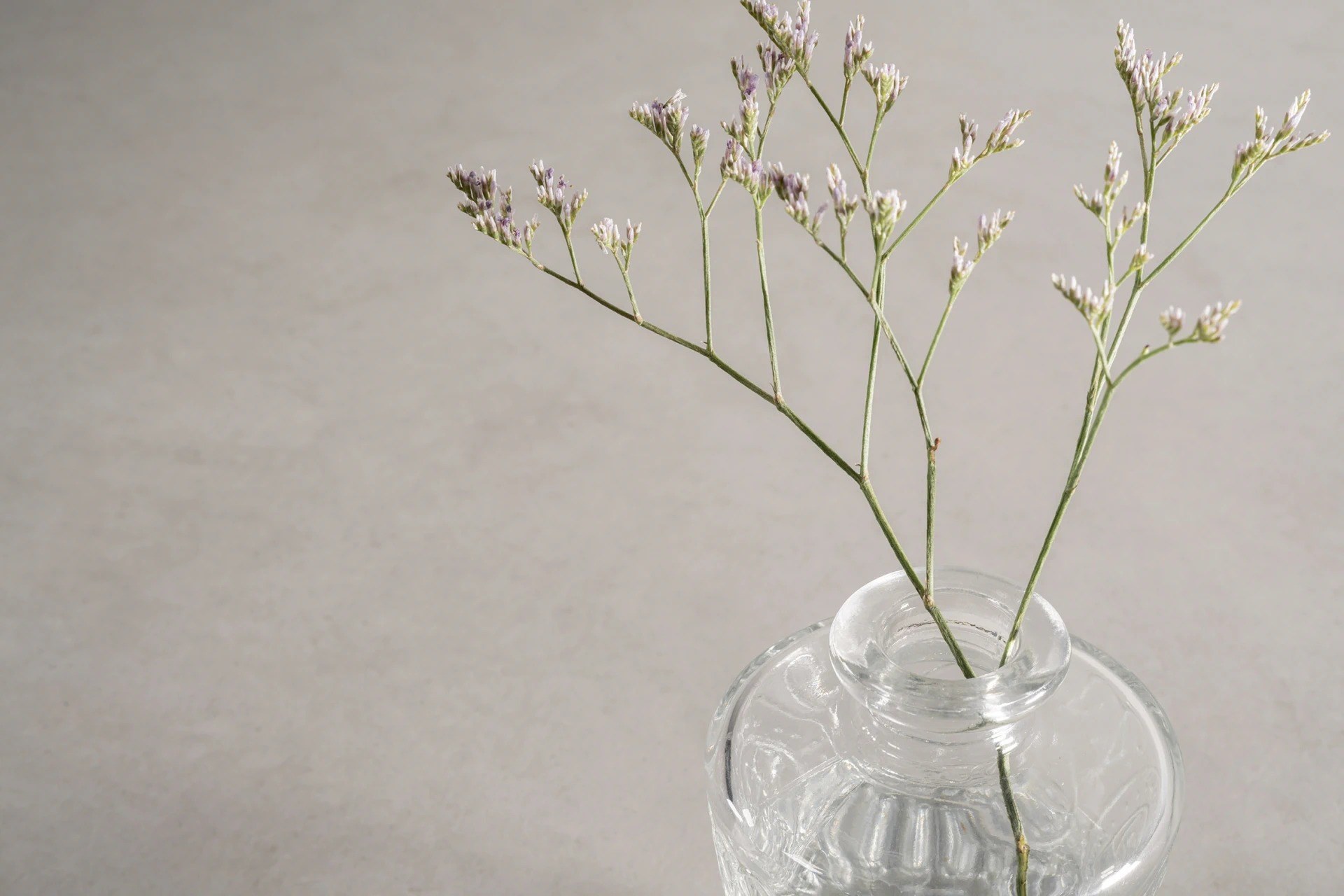 Ascale Urban White